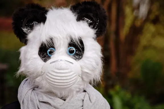 Kasyno of Dreams Wsparcie